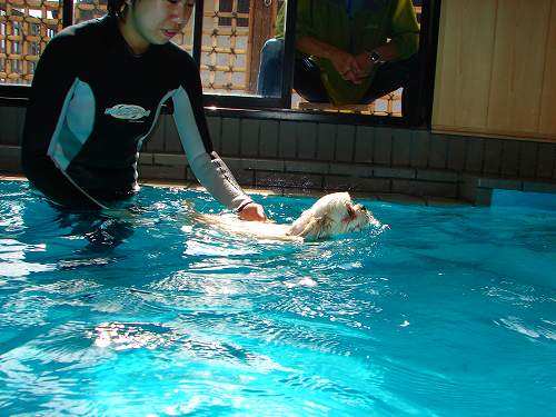 2010 09 25pool (33)