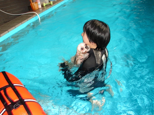 2010 09 25pool (63)