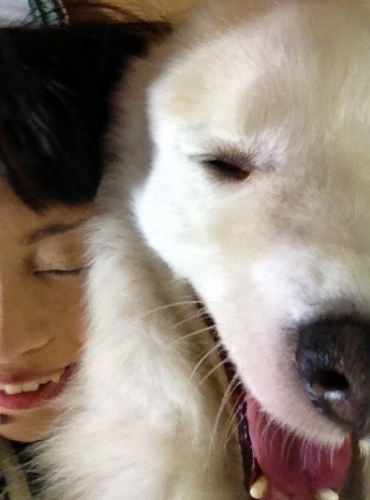 2012年犬仲間