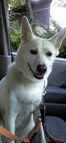 2012-9-29ひめたん ☆ 優しい表情