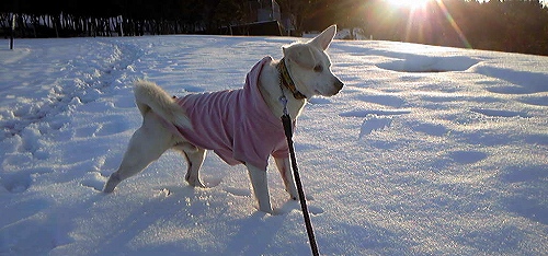 2012-12-15ふたりだけので~と ☆ けんちゃんと夕暮れどき