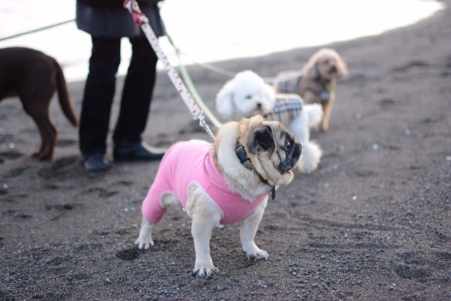 20140123075001a15.jpg