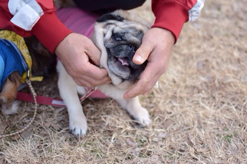20140128010132cdf.jpg