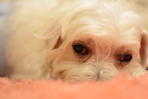 20140130140026fec.jpg