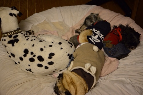 2014013014161186f.jpg