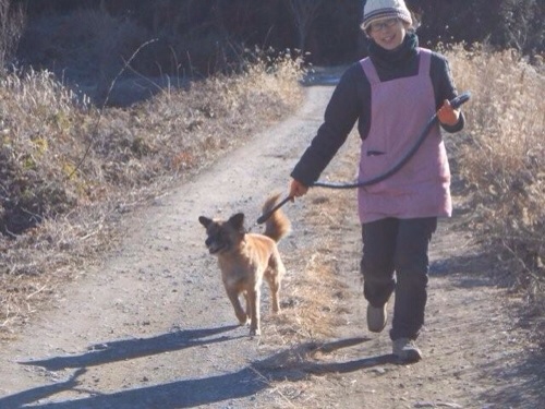 20140131131247568.jpg