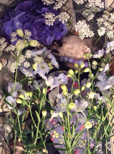 2014020300270091e.jpg