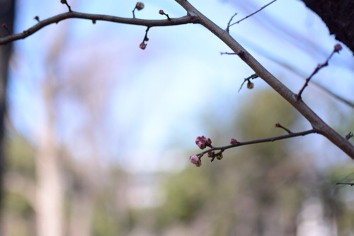 20140203002704865.jpg