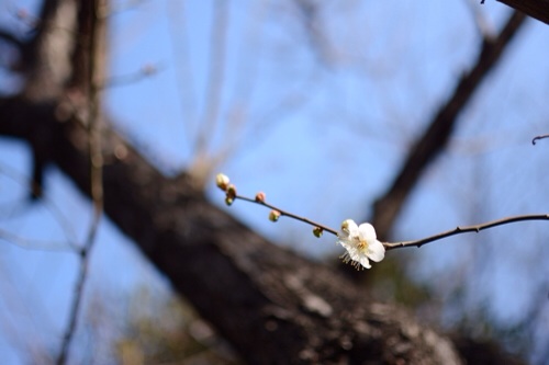 201402081559223a2.jpg
