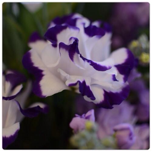 20140210064021dfd.jpg