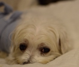 20140213023901201.jpg