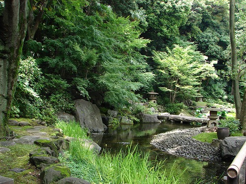 DSC01474.jpg