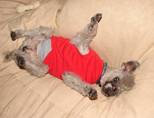 DSC01503.jpg