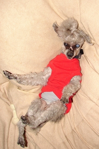 DSC0150433.jpg