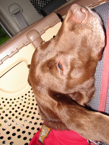 DSC01730.jpg
