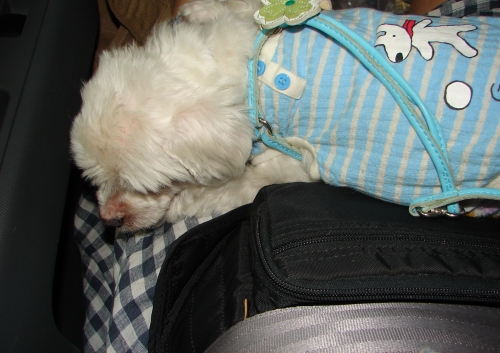 DSC01734.jpg