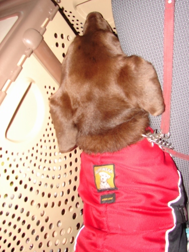 DSC01736.jpg
