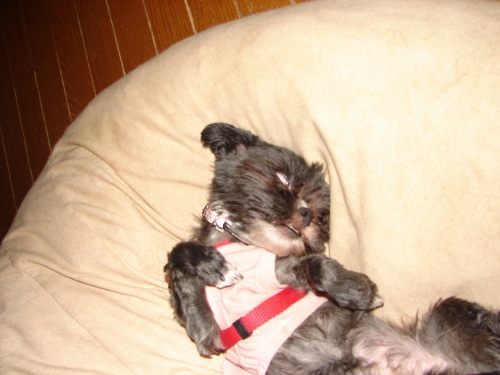 DSC01779.jpg