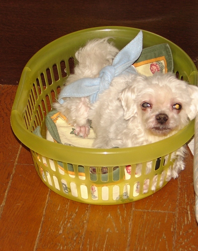 DSC01795.jpg