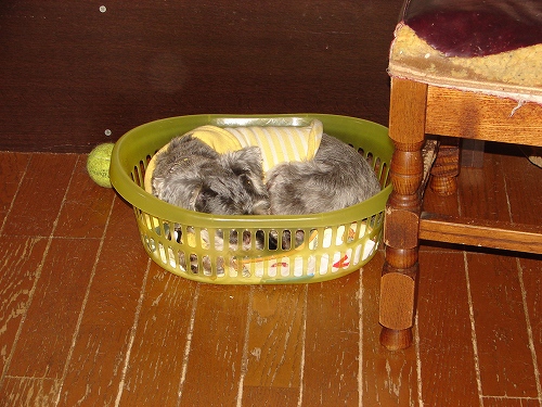 DSC01802.jpg