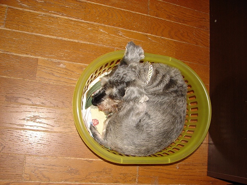 DSC01808.jpg