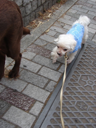 DSC01829.jpg
