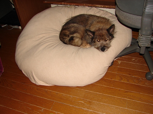 DSC01864.jpg