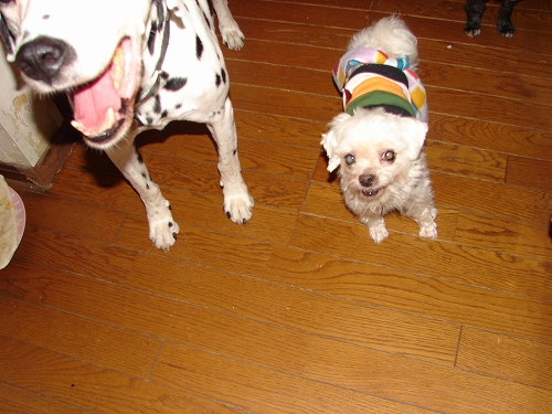 DSC01898.jpg