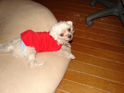 DSC01913.jpg