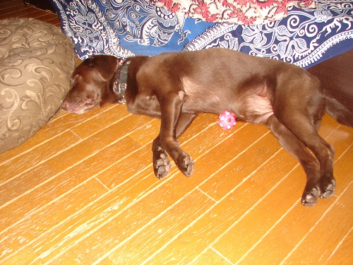 DSC01970.jpg