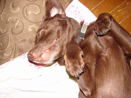 DSC01975.jpg