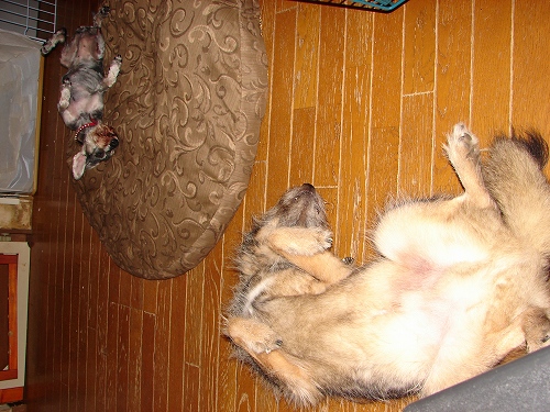 DSC01983.jpg