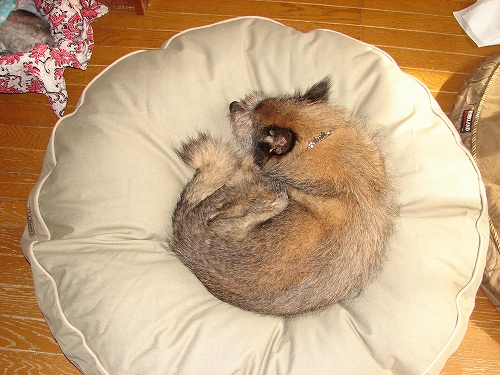 DSC02142.jpg