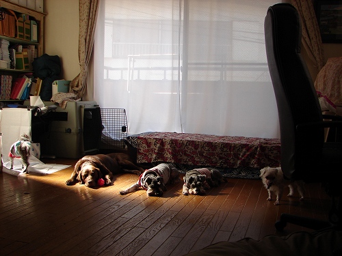 DSC02170.jpg