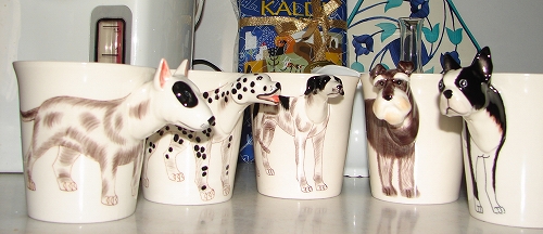 DSC02176.jpg