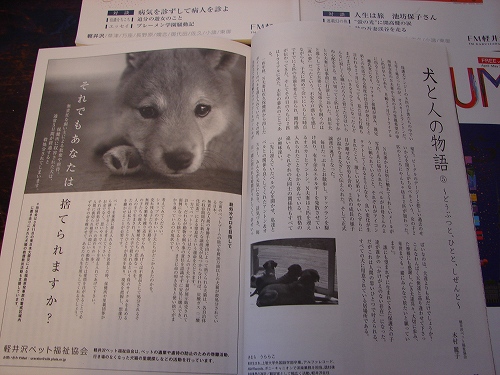 DSC02266.jpg