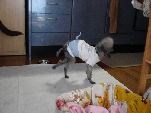 DSC02272.jpg