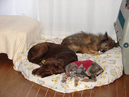 DSC02305.jpg
