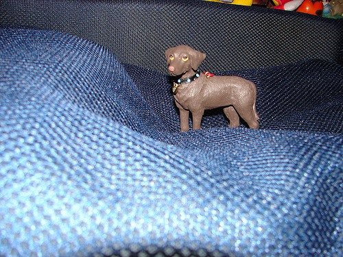 DSC02316.jpg