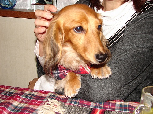DSC02415.jpg