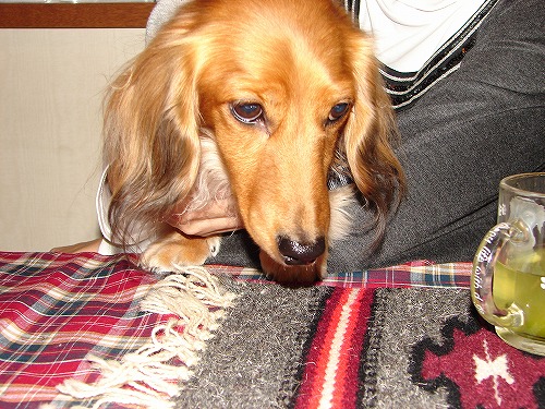 DSC02420.jpg