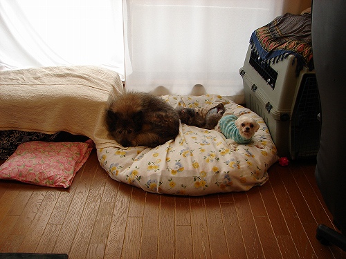 DSC02428.jpg