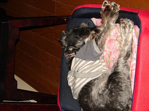 DSC02468.jpg