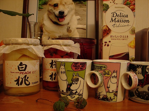DSC02485.jpg