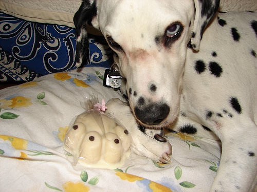 DSC02500.jpg