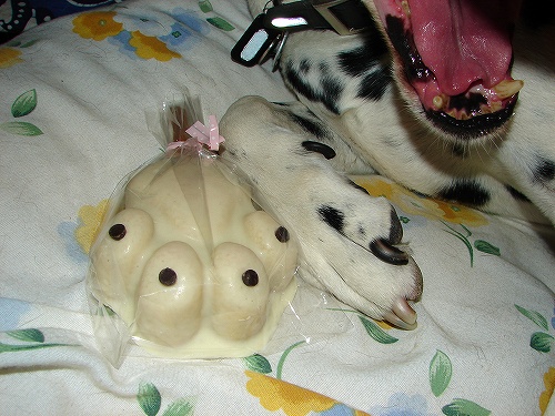 DSC02503.jpg