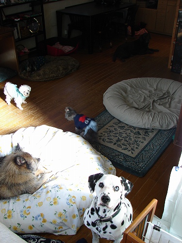 DSC02536.jpg