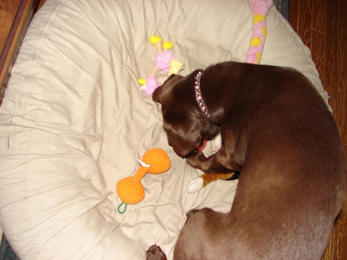 DSC02635.jpg