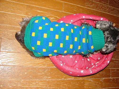 DSC02668.jpg