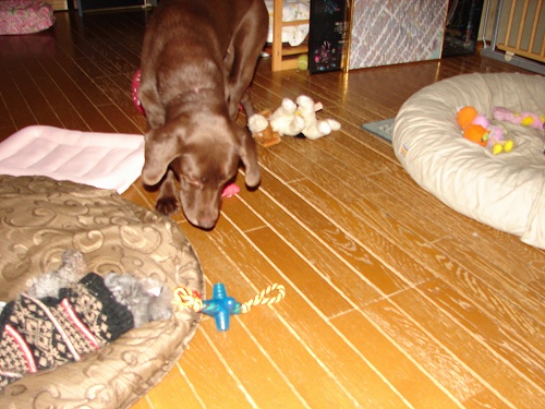 DSC02701.jpg
